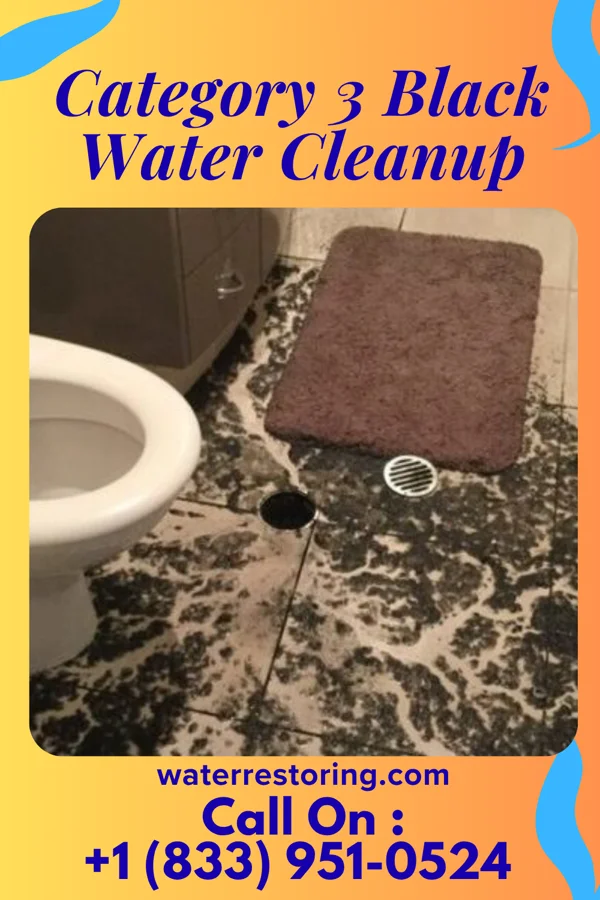 Category 3 Black Water Cleanup in Utica, NE