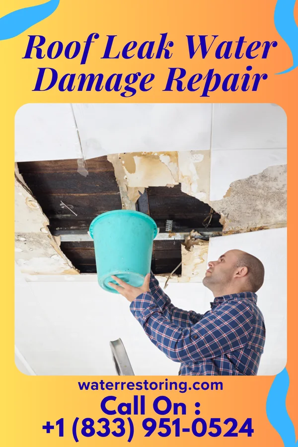Roof Leak Water Damage Repair in Utica, NE