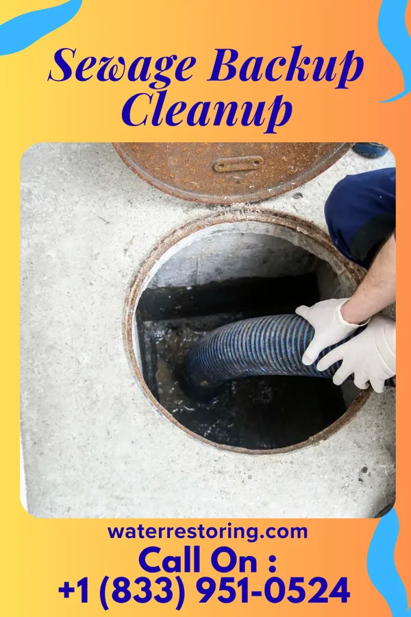 Sewage Backup Cleanup in Utica, NE